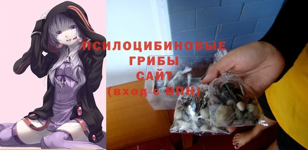 прущие грибы Аркадак
