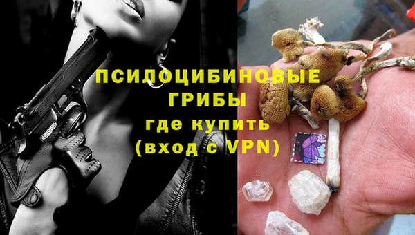 прущие грибы Аркадак