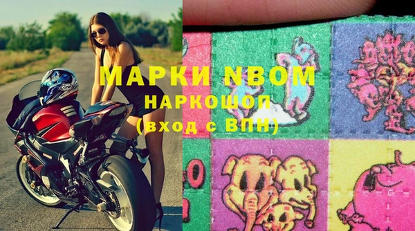 прущие грибы Аркадак