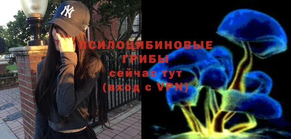 ALPHA PVP Арсеньев