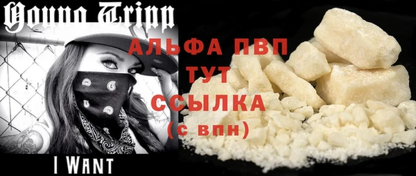 прущие грибы Аркадак